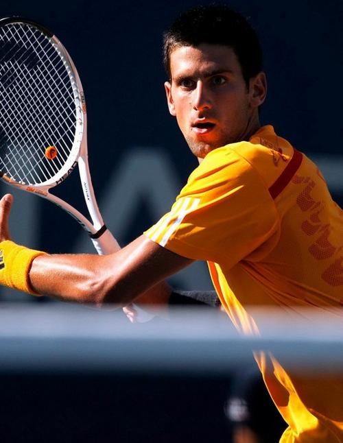 冠军数量以 冠军数量以